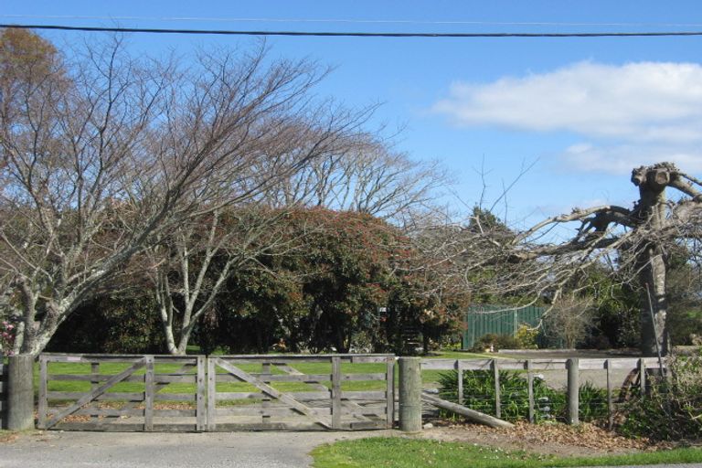 Photo of property in 38 Tawa Street, Edgecumbe, 3120
