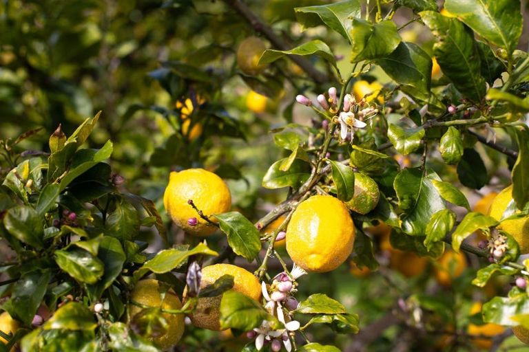 Photo of property in Mahinepua Road, Kaeo, 0478