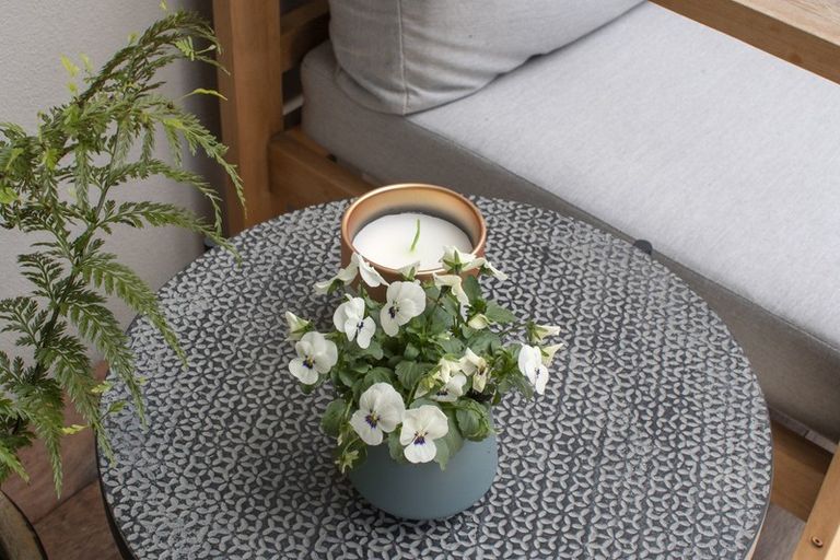 Photo of property in 206 Rowesdale Drive, Ohauiti, Tauranga, 3112