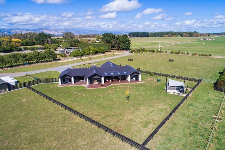 Photo of property in 79 Jackeytown Road, Tiakitahuna, Palmerston North, 4477