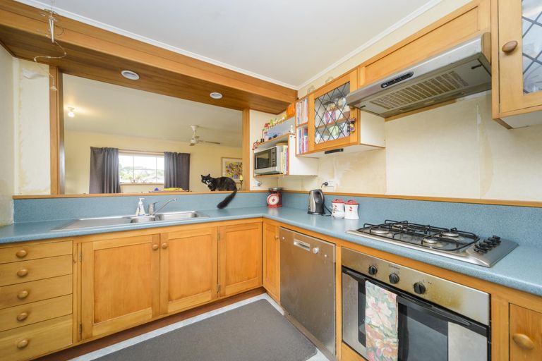 Photo of property in 499 Albert Street, Hokowhitu, Palmerston North, 4410