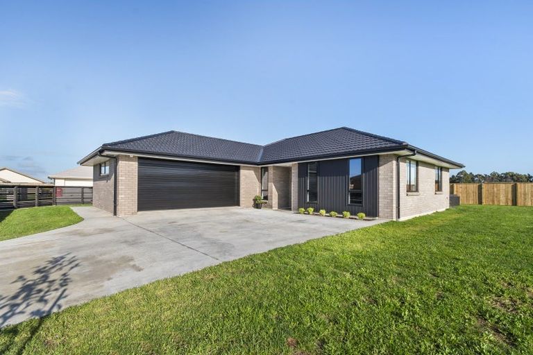 Photo of property in 14a Turoa Street, Feilding, 4702