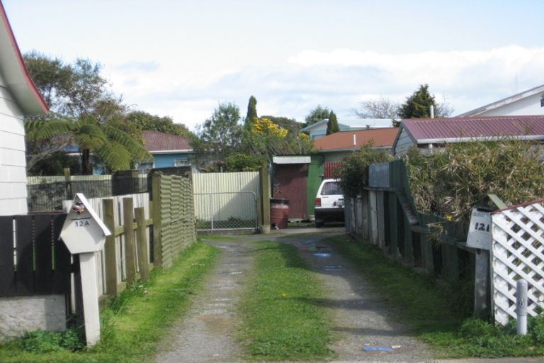 Photo of property in 12a Braemar Street, Levin, 5510