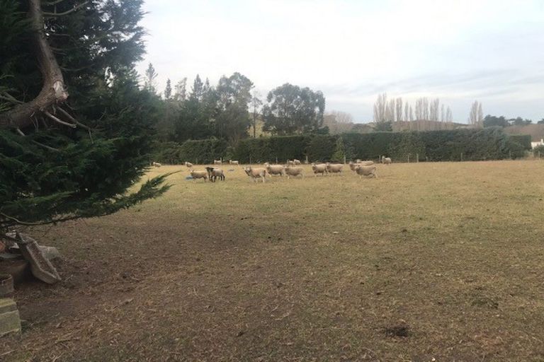 Photo of property in 32 Tokarahi-ngapara Road, Ngapara, Oamaru, 9494