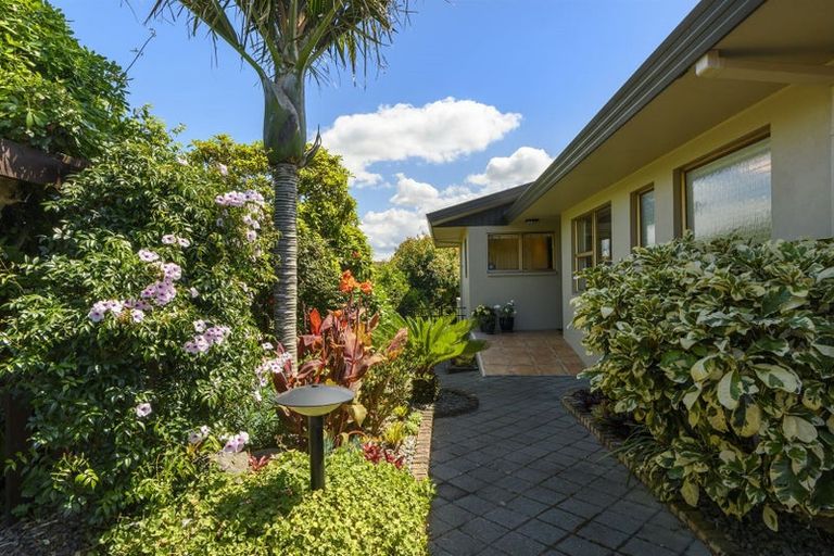 Photo of property in 11 Audrey Place, Matua, Tauranga, 3110