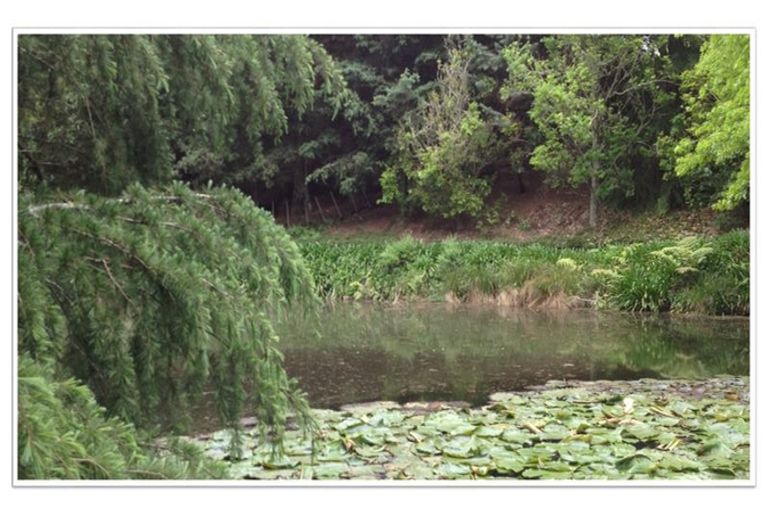 Photo of property in 62 Old Coach Way, Ramarama, Drury, 2579