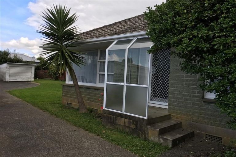 Photo of property in 26 Evelyn Place, Hillcrest, Auckland, 0627