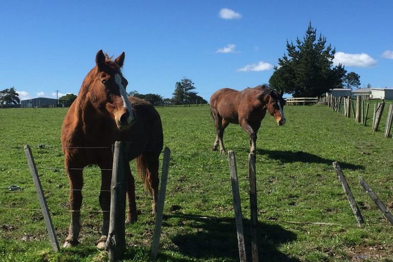 Photo of property in 238 Clifton Road, Whitford, 2571