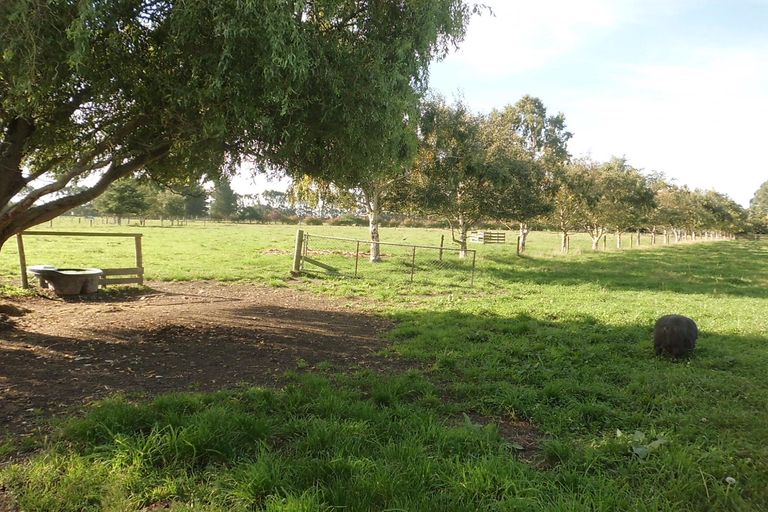 Photo of property in 63 Hedley Road, Levels, Timaru, 7973