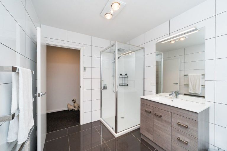 Photo of property in 53 Collingwood Street, Hokowhitu, Palmerston North, 4410