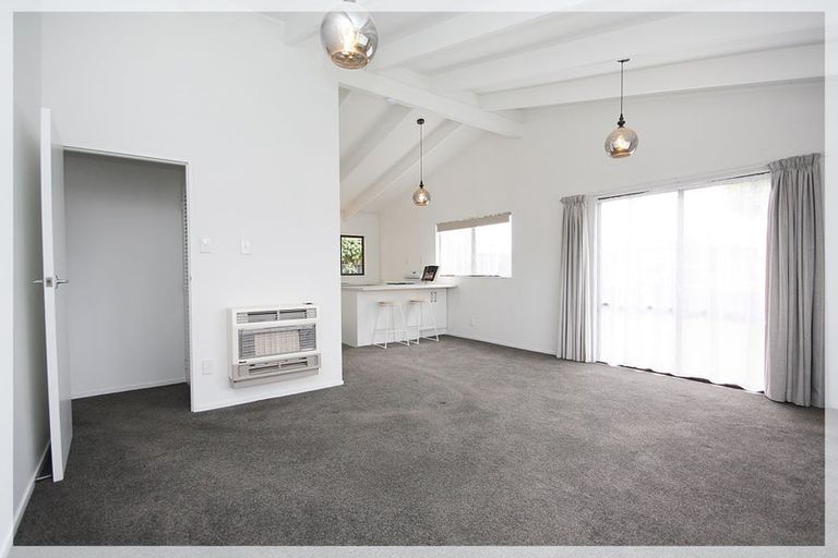 Photo of property in 133 Tiro Tiro Road, Levin, 5510