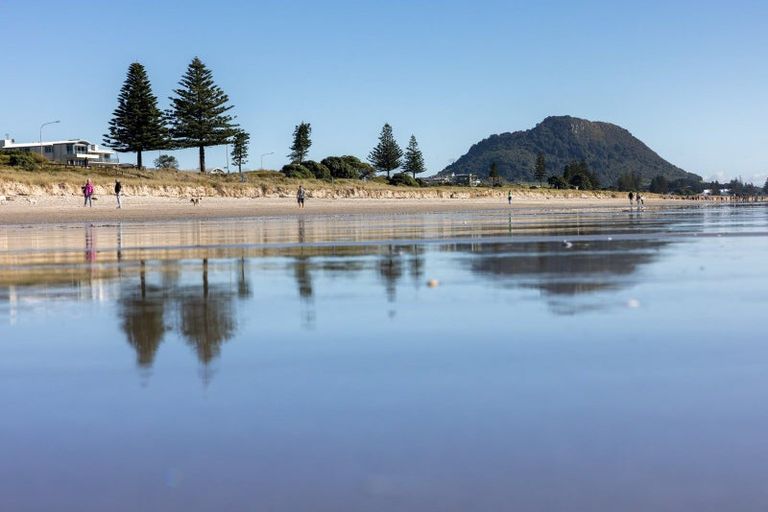 Photo of property in 28b Gordon Road, Mount Maunganui, 3116