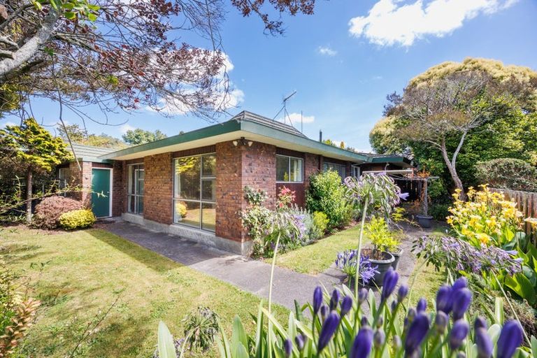 Photo of property in 8c Ihaka Street, Hokowhitu, Palmerston North, 4410