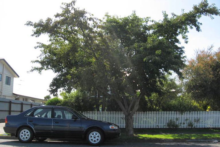 Photo of property in 12 Nixon Street, Tinwald, Ashburton, 7700