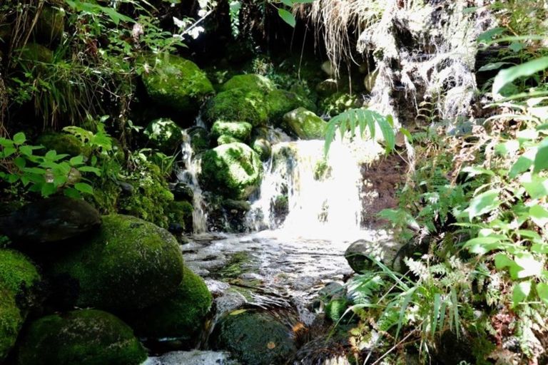 Photo of property in 4870 Karamea Highway, Karamea, 7893