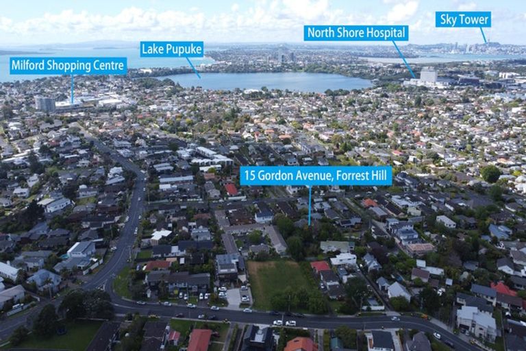 Photo of property in 15 Gordon Avenue, Forrest Hill, Auckland, 0620