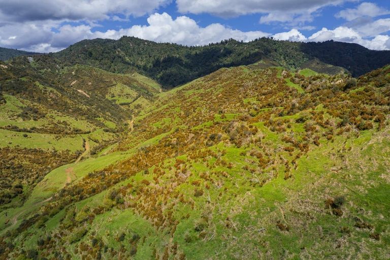 Photo of property in 987 Mangaehu Road, Puniwhakau, Stratford, 4392