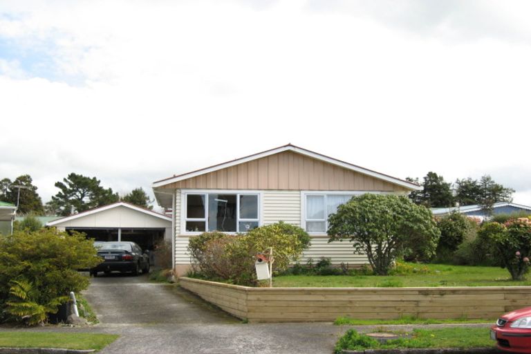 Photo of property in 19 Montjoy Street, Stratford, 4332