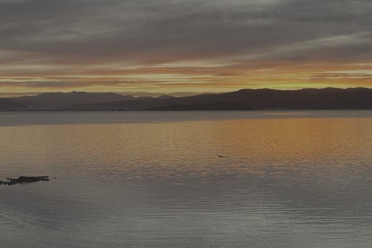 Photo of property in 62 Evans Bay Parade, Roseneath, Wellington, 6021