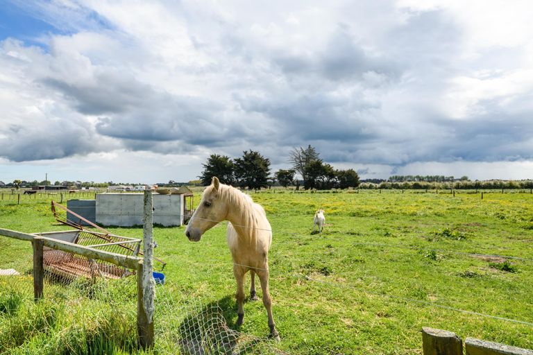 Photo of property in 436 Green Road, Rongotea, Palmerston North, 4476