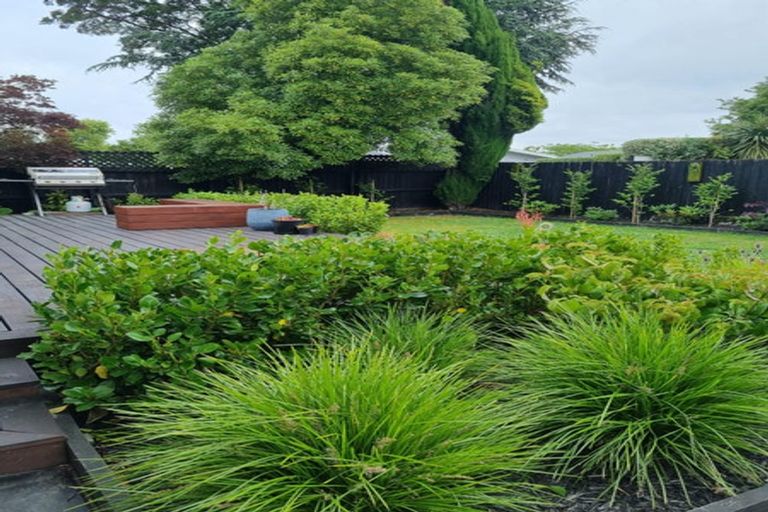 Photo of property in 117 Blighs Road, Strowan, Christchurch, 8052