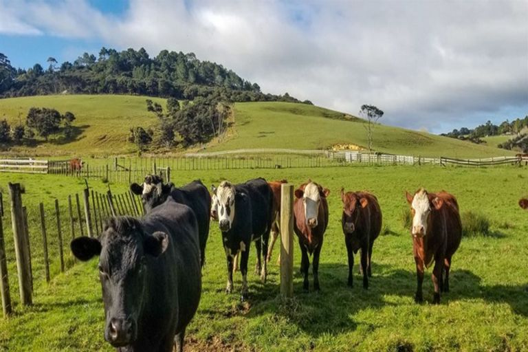 Photo of property in 99 Mcpike Road, Waimauku, 0883