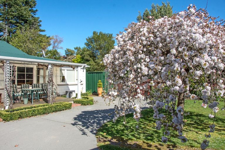 Photo of property in 92 Renall Street, Masterton, 5810