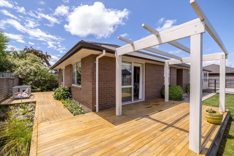 Photo of property in 25 Tarata Grove, Lansdowne, Masterton, 5810