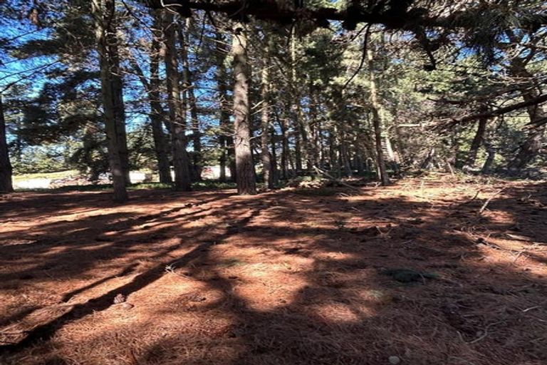 Photo of property in 117 Fullers Road, Woodend, Kaiapoi, 7691