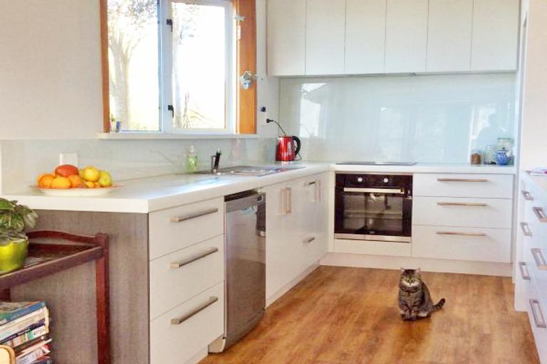 Photo of property in 38 Ure Street, South Hill, Oamaru, 9400