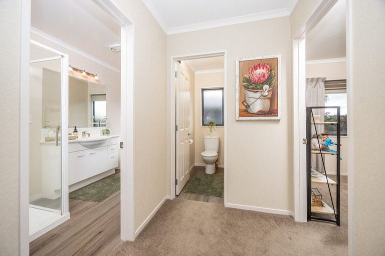 Photo of property in 229 Raeburne Street, Te Awamutu, 3800