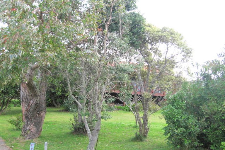 Photo of property in 432 Onemana Drive, Onemana, Whangamata, 3691