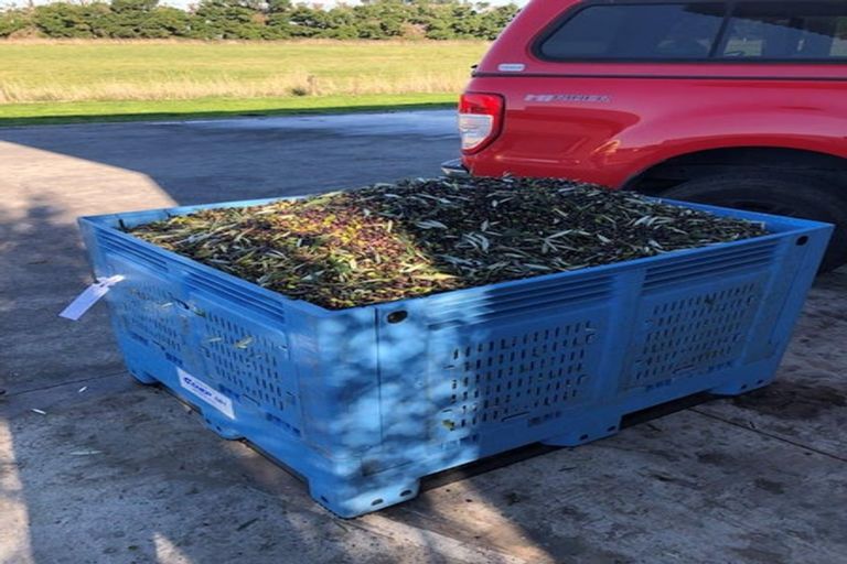 Photo of property in 466 Jeffersons Line, Marton, 4788