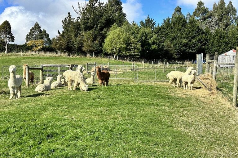 Photo of property in 140 Three Mile Hill Road, North Taieri, 9076