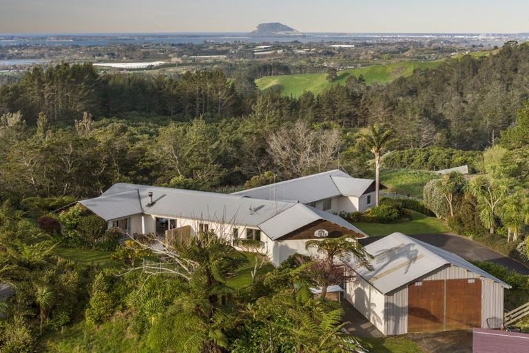 Photo of property in 257f Whakamarama Road, Whakamarama, Tauranga, 3179