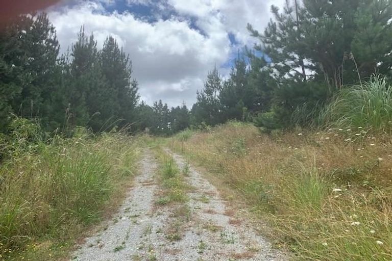 Photo of property in 613 Awaroa Road, Broadwood, Kaitaia, 0481