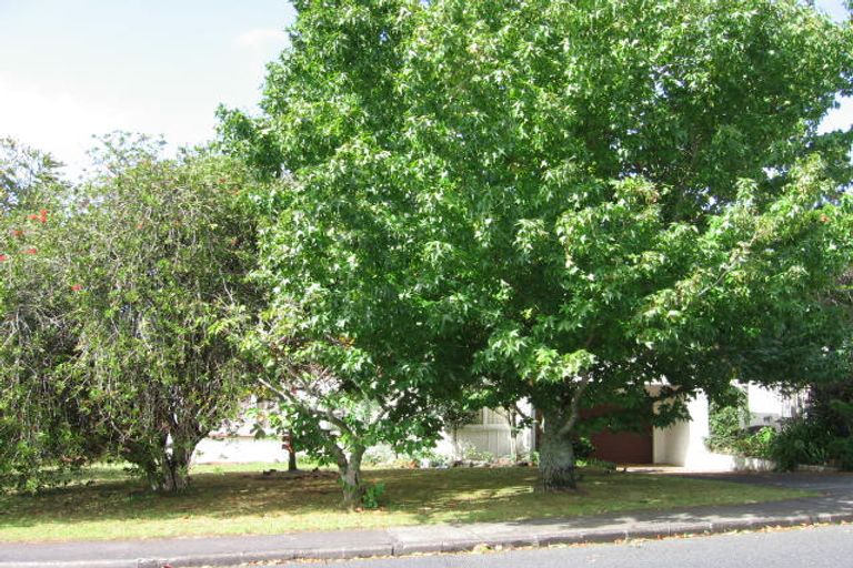 Photo of property in 1 Tanoa Place, Glendene, Auckland, 0602