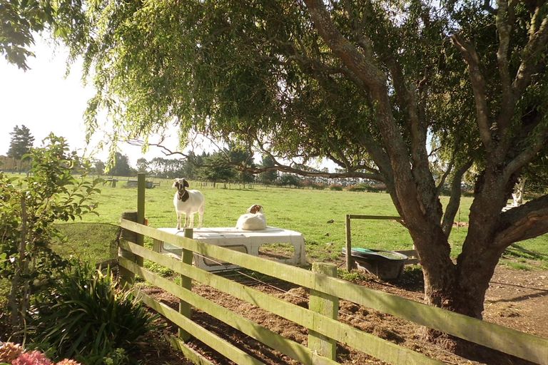 Photo of property in 63 Hedley Road, Levels, Timaru, 7973