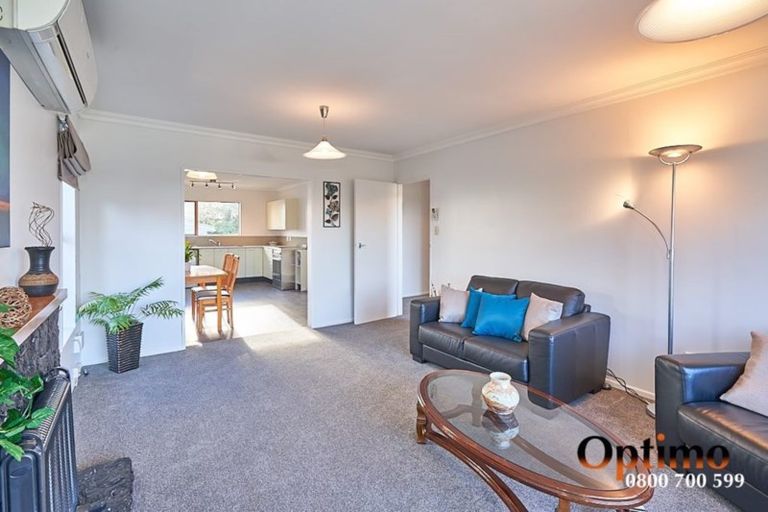 Photo of property in 61 Meadowvale Drive, Levin, 5510