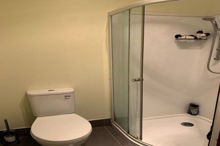 Photo of property in 164a Ohiro Road, Brooklyn, Wellington, 6021