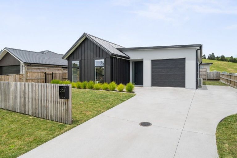 Photo of property in 205 Adler Drive, Ohauiti, Tauranga, 3112