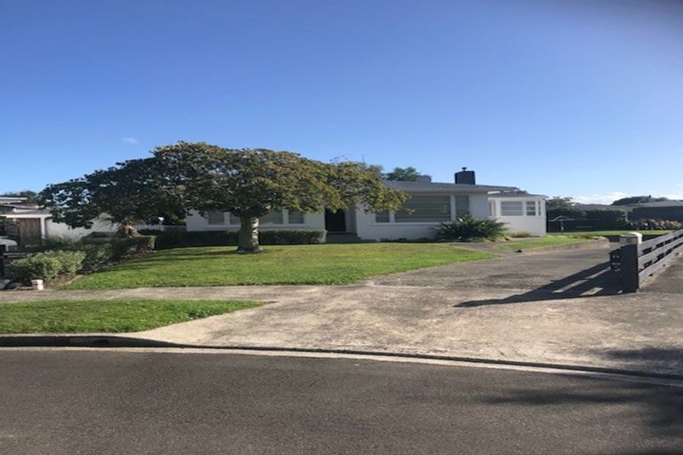 Photo of property in 11 Strathmore Place, Awapuni, Palmerston North, 4412