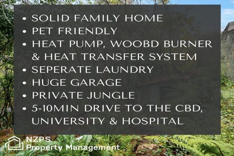 Photo of property in 19 Wairoa Street, Kaikorai, Dunedin, 9010