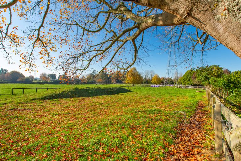 Photo of property in 31 Lee Martin Road, Tamahere, Hamilton, 3283