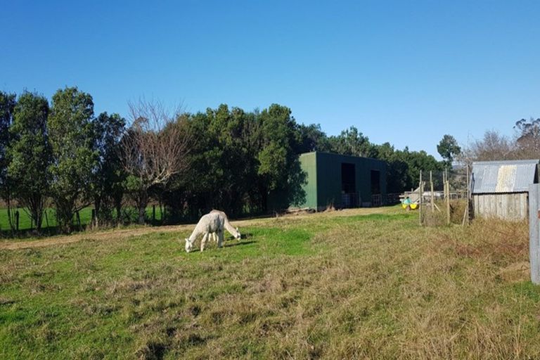 Photo of property in 203 Frankton Road, Waihi, 3682