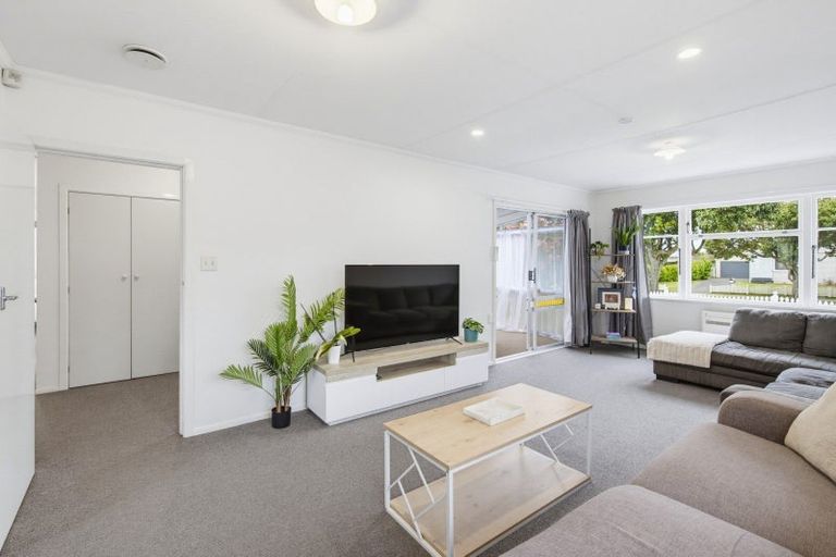 Photo of property in 9 Duke Street, Levin, 5510