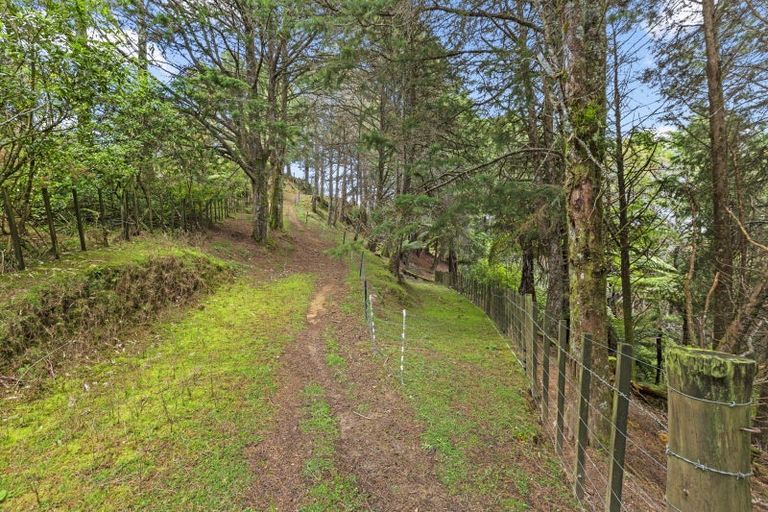 Photo of property in 472 Wilton Collieries Road, Glen Massey, Ngaruawahia, 3794