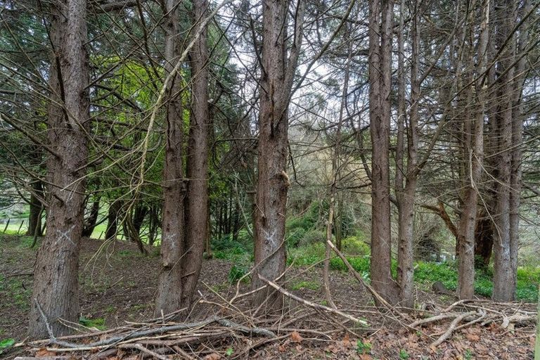 Photo of property in 86 Lindsay Road, Levin, 5510