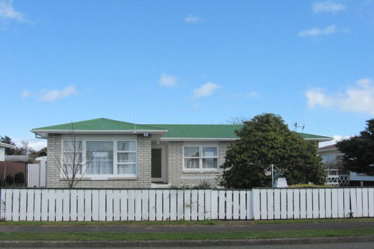 Photo of property in 16 Braemar Street, Levin, 5510