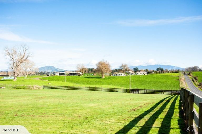 Photo of property in 300 Puahue Road, Te Awamutu, Cambridge, 3879